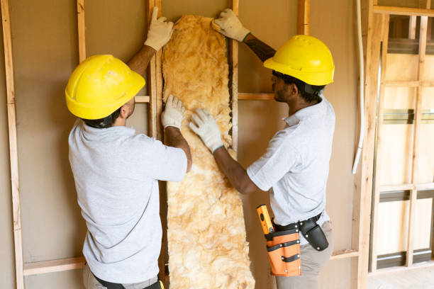 Best Attic Insulation Installation  in Saxon, SC