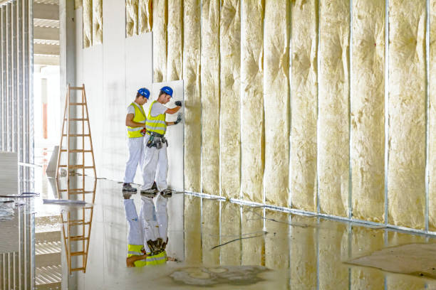 Best Blown-In Insulation  in Saxon, SC